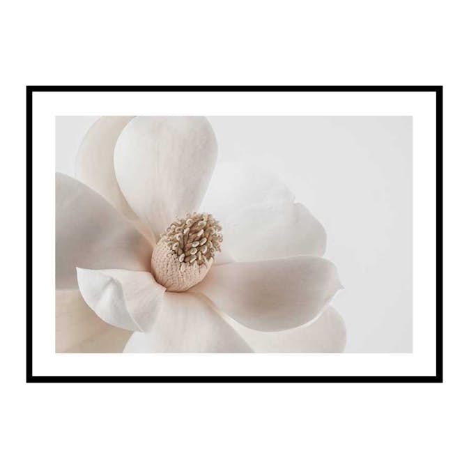 Poster Gallerix Beige Magnolia No1