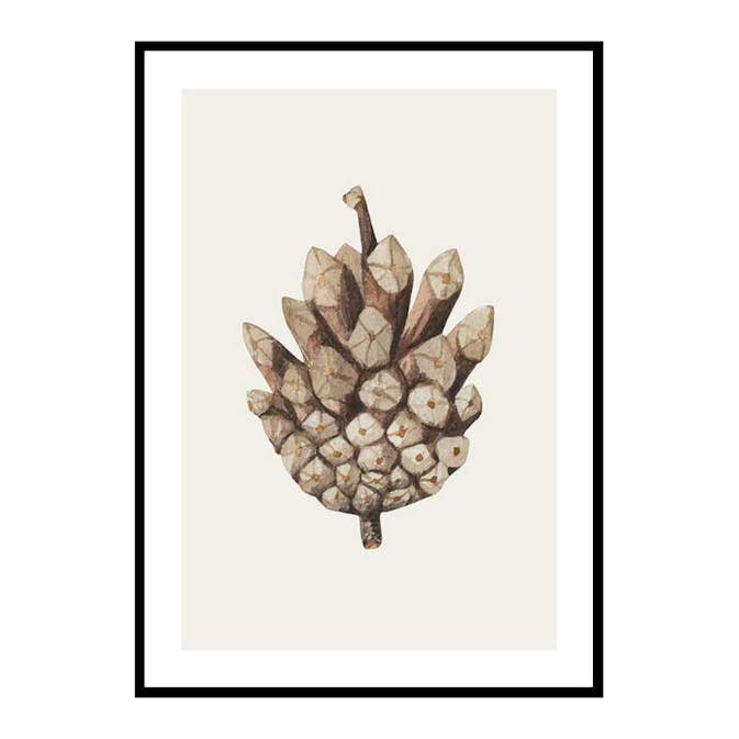 Poster Gallerix Painted Cone