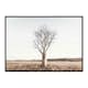 Poster Gallerix Boab Tree