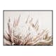 Poster Gallerix Protea Flower No1