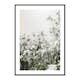 Poster Gallerix White Flowers In Spring