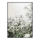 Poster Gallerix White Flowers In Spring