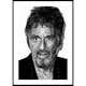 Poster Gallerix Al Pacino Portrait