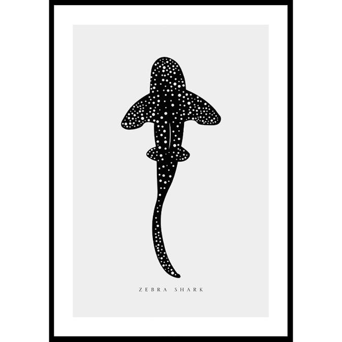 Poster Gallerix Zebra Shark