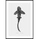 Poster Gallerix Zebra Shark