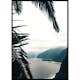 Poster Gallerix Between Palm Leaves