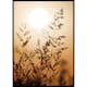 Poster Gallerix Sunset Dry Grass