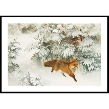 Poster Gallerix Räv i Vinterlandskap By Bruno Liljefors No1