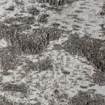 Väggpanel Emotionwood Birch 600