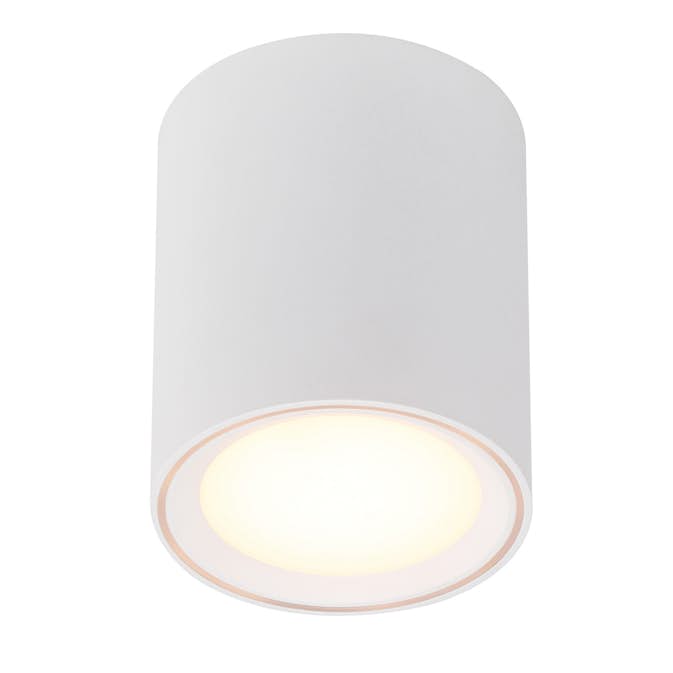 Taklampa Nordlux Fallon 120
