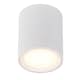 Taklampa Nordlux Fallon 120
