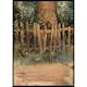 Poster Gallerix Midsommartid By John Bauer