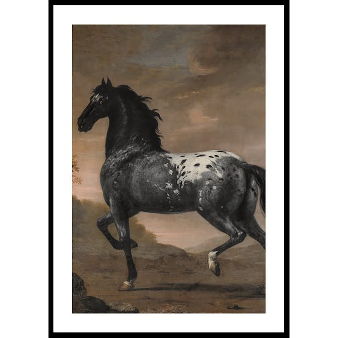 Poster Gallerix The Blue Tiger By David Klocker Ehrenstrah