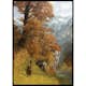 Poster Gallerix Autumn By Gustave Courbet