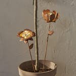 Solcellsdekoration Star Trading Oxida LED 2-pack Blommor