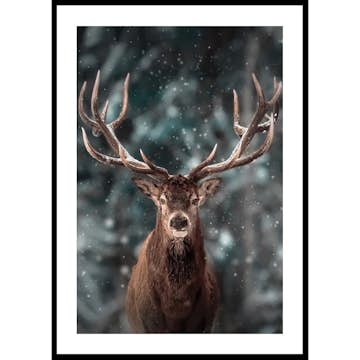 Poster Gallerix Majestic Deer