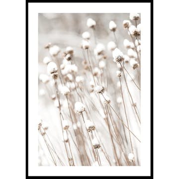 Poster Gallerix Snow Covered Dried Flowers