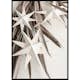 Poster Gallerix Paper Stars