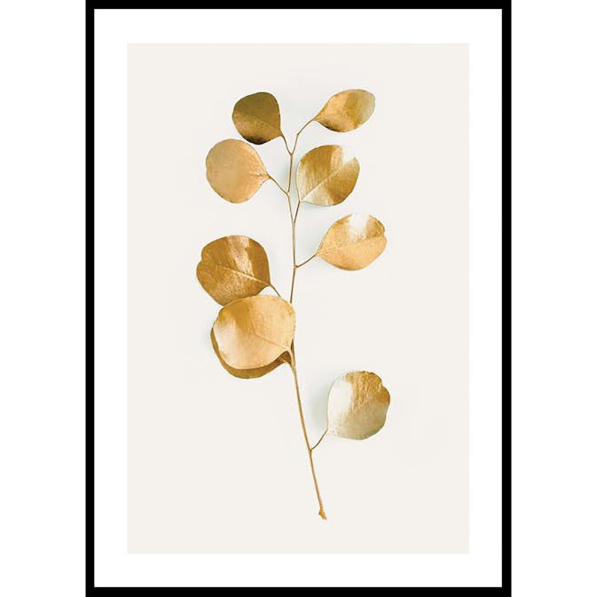 Poster Gallerix Eucalyptus Gold No3