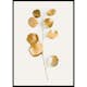 Poster Gallerix Eucalyptus Gold No3