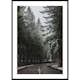 Poster Gallerix Deep Forest Road