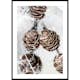 Poster Gallerix Winter Pine Cones