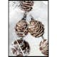 Poster Gallerix Winter Pine Cones
