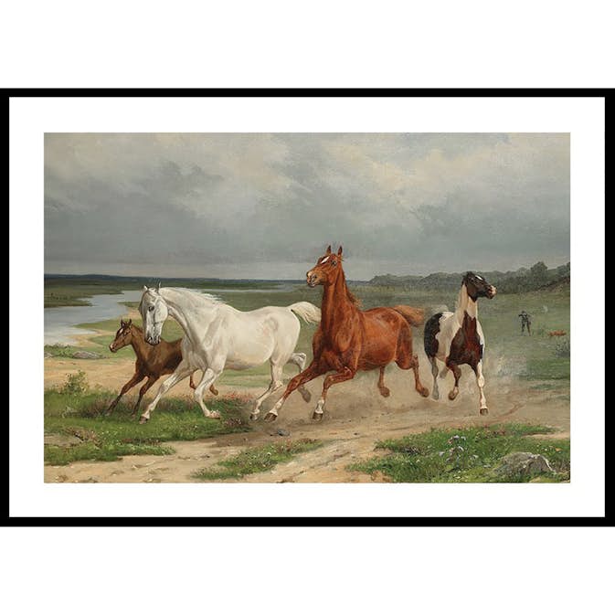 Poster Gallerix Flyende hästar By Arvid Fredrik Lönnroth