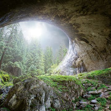Tapet Idealdecor Cave In The Forest