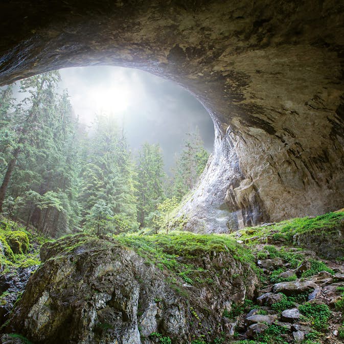 Tapet Idealdecor Cave In The Forest