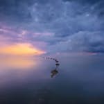 Tapet Idealdecor Wetland Sunrise