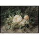 Poster Gallerix A Bouquet Of Roses By Olga Wisinger-Florian