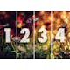 Tapet Idealdecor Flowers And Lights
