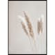 Poster Gallerix Boho Dried In Nature No6