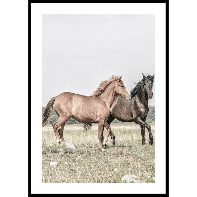 Poster Gallerix Two Brown Horses