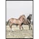 Poster Gallerix Two Brown Horses