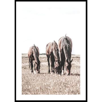 Poster Gallerix Three Brown Horses