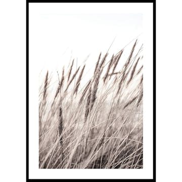 Poster Gallerix Boho Dried In Nature No1