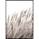 Poster Gallerix Boho Dried In Nature No1