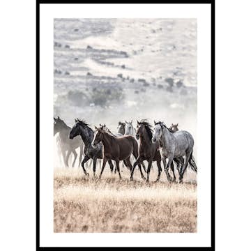Poster Gallerix Wild Horses Free Spirit