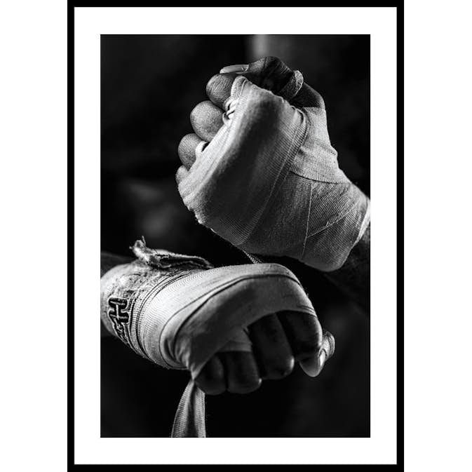 Poster Gallerix Ready To Fight