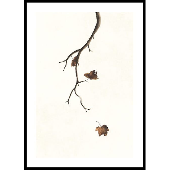 Poster Gallerix Autumn Leaves Falling