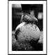Poster Gallerix Soccer Player No2