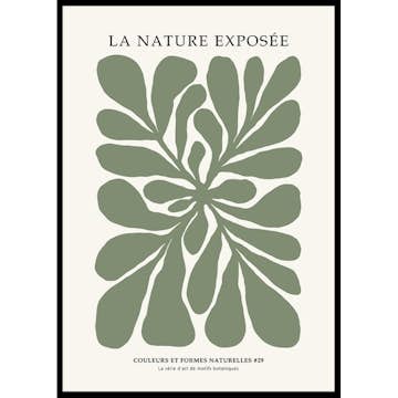 Poster Gallerix La Nature Exposee 29