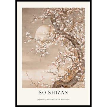 Poster Gallerix Japanese Plum Blossoms In Moonlight By Sō Shizan