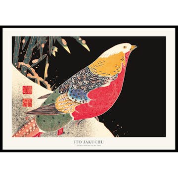 Poster Gallerix Golden Pheasant In The Snow By Ito Jakuchu