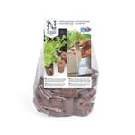 Odlingsplugg Nelson Garden Pluggbox 42-pack för Små & Medelstora Fröer