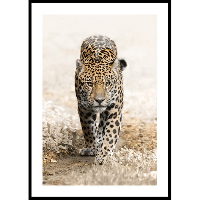 Poster Gallerix Jaguar