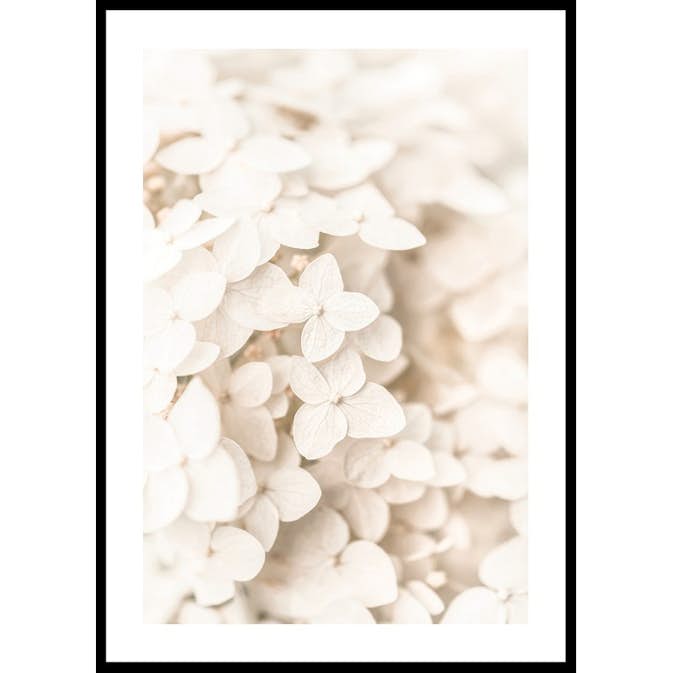 Poster Gallerix Boho Flowers No3