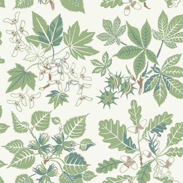 Tapet Boråstapeter Arboretum 5832